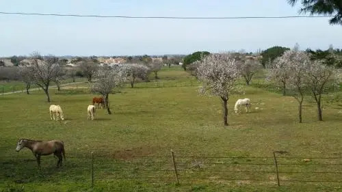 Le Gite de la Prunette