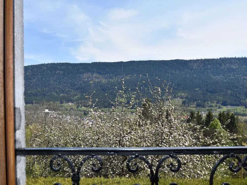 Wing of a Farm, in the Centre of the Ballon des Vosges