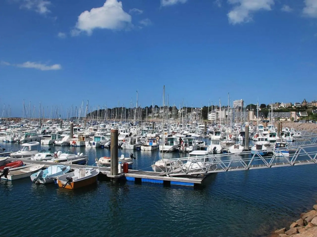 Superbe Maison Avec Jardin, Proche Plage, Chiens Admis - Fr-1-542-25