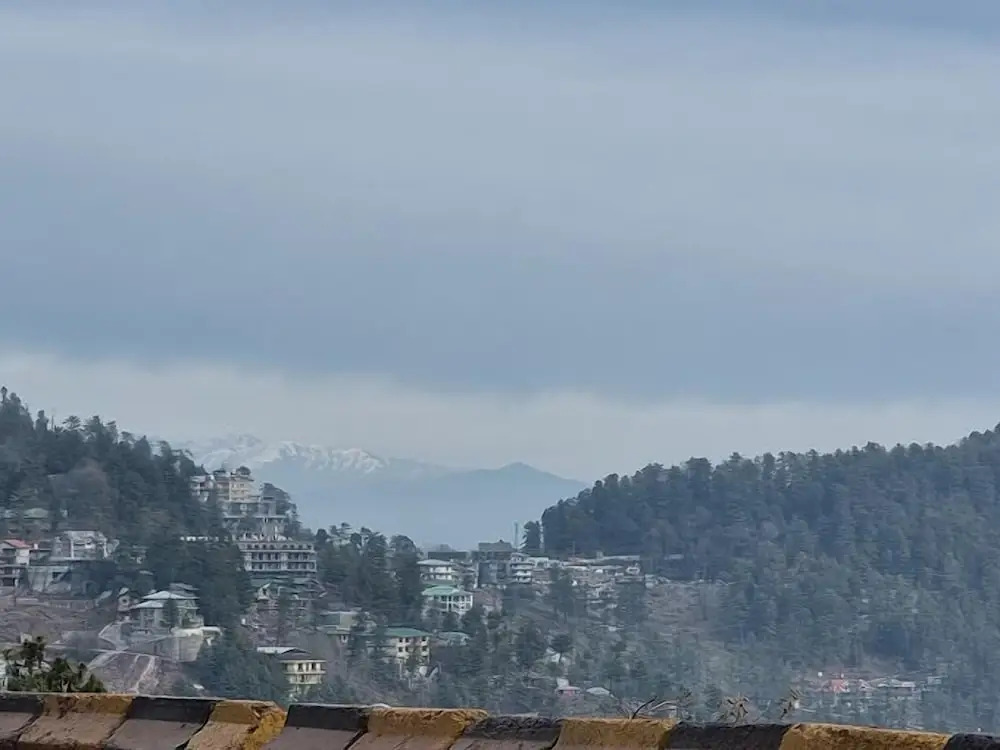 VivaPines, Murree