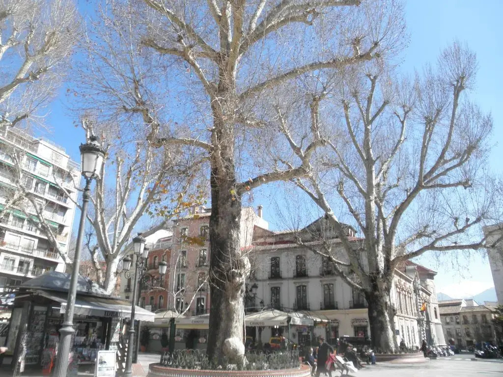 Romanilla Plaza