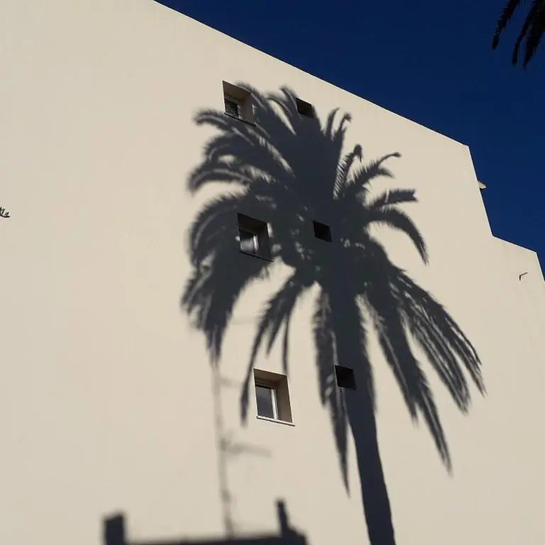 Les Pins . 2 p calme et terrasse