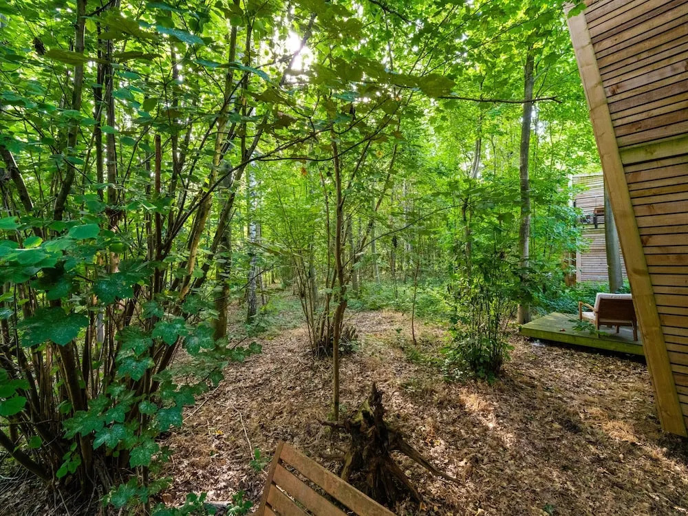 Peaceful Forest Escape