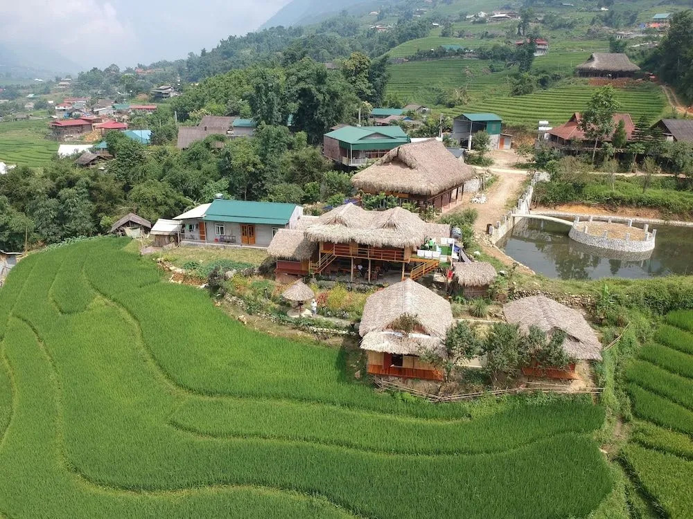 Golden Rice Garden Sapa