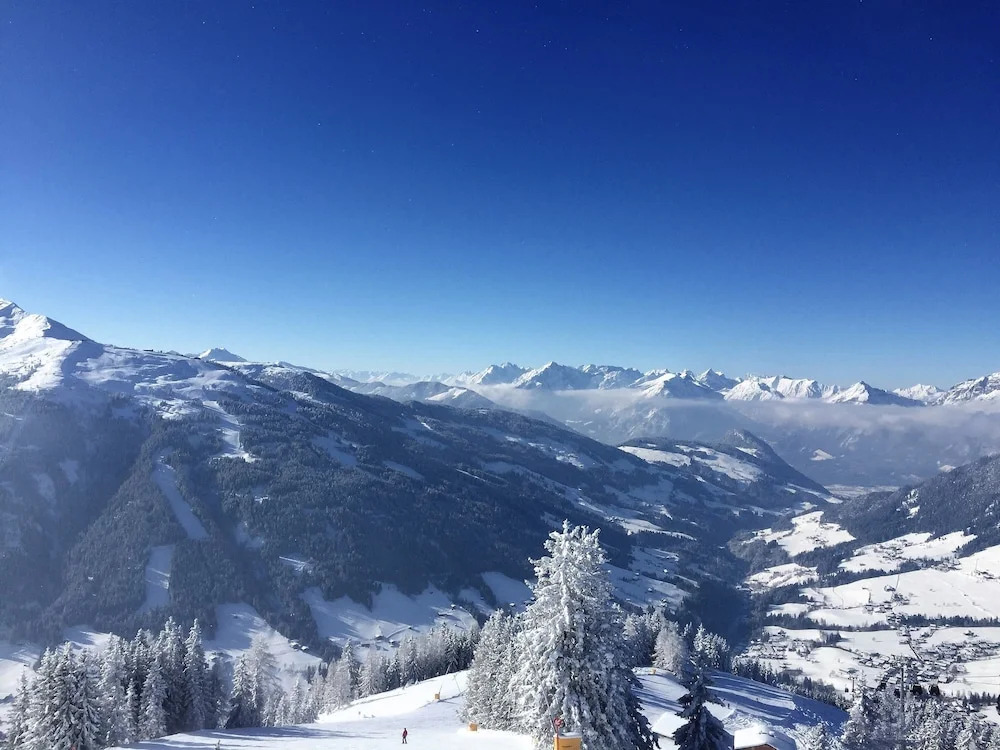Angerer Alpine Suiten und Familienappartements Tirol