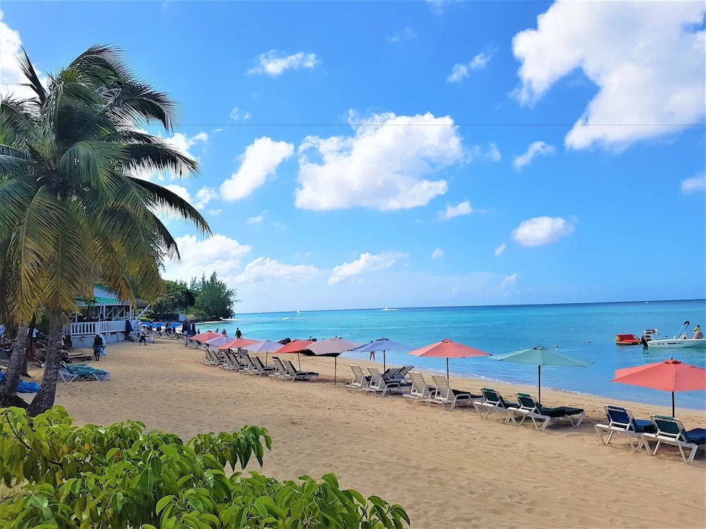 Casuarina Grande