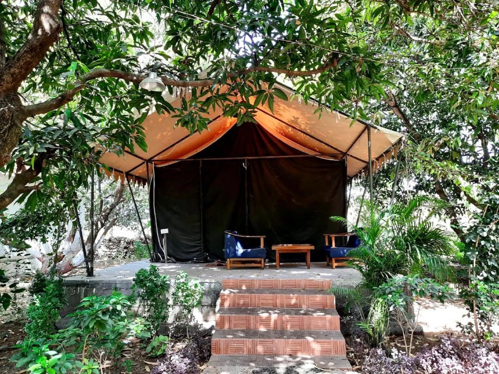 Gir County Resort