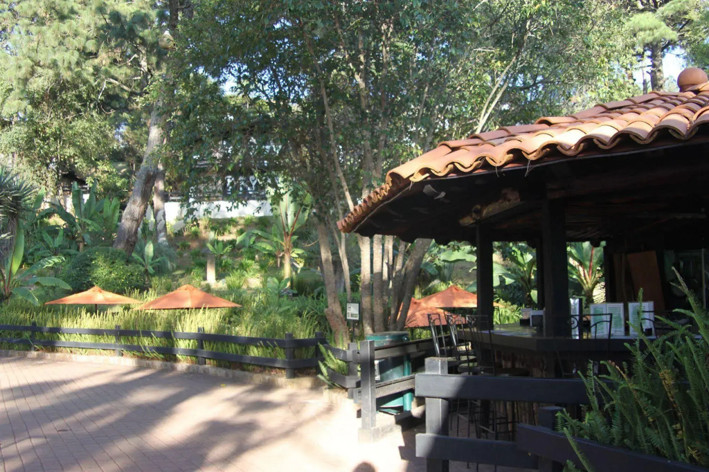 Monteverde