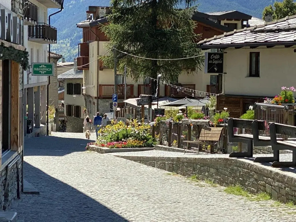 Clotes apartment, 50m from slopes - sleeps 8, 2 bath - Sauze Holiday