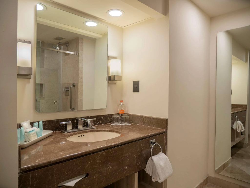 MS Milenium Monterrey Curio Collection by Hilton