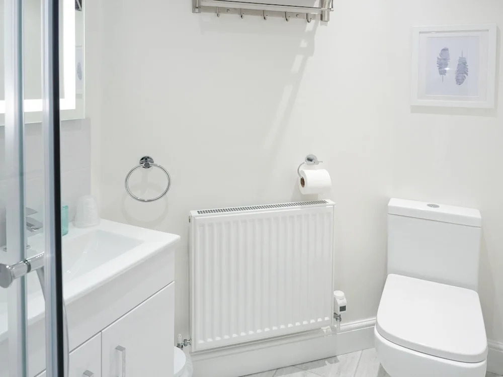 Teifi Netpool