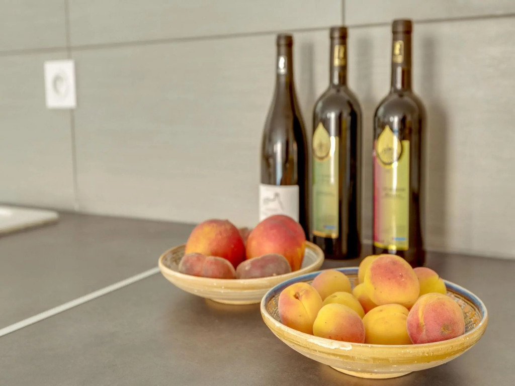 Comfortable Holiday Home in Montouliers near Bize Minervois