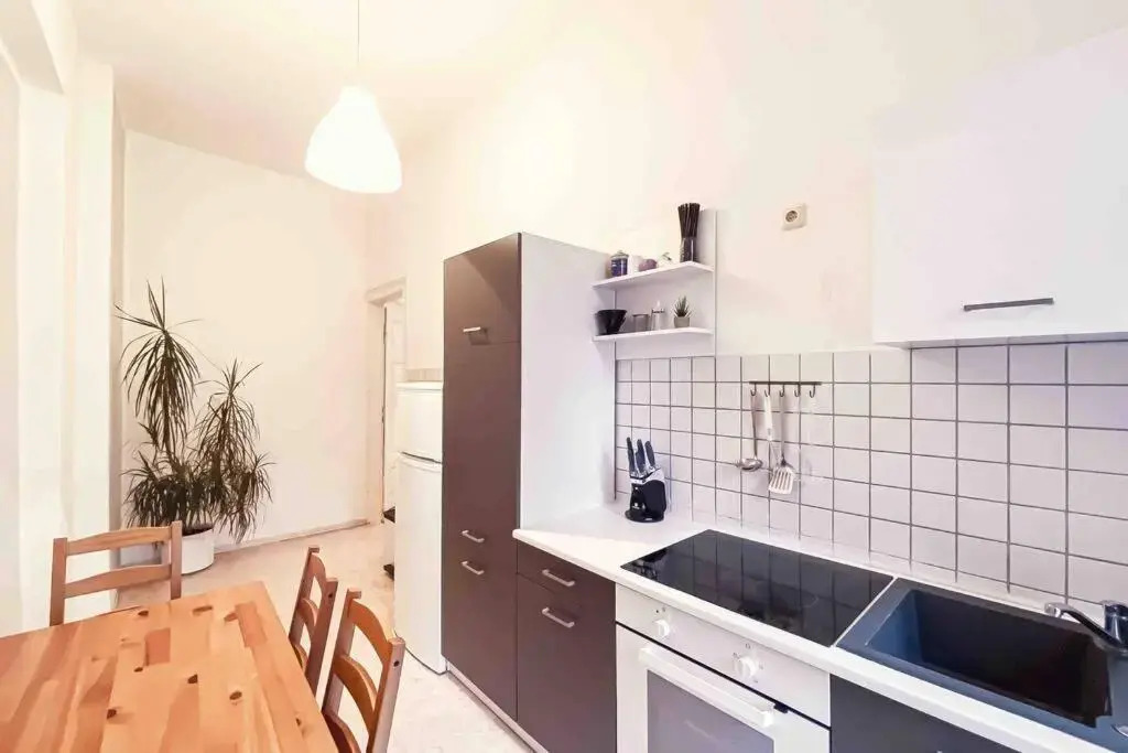 Altbau-Schmuckstück an der Karli mit riesigem Balkon