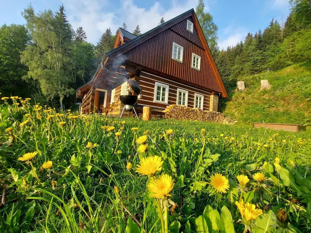 Villa Near Horni Domky Ski Resort