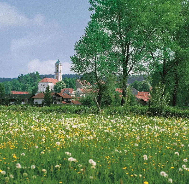 Best Western Aparthotel Birnbachhöhe
