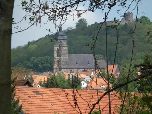 Ferienwohnungen Homberger Altstadt