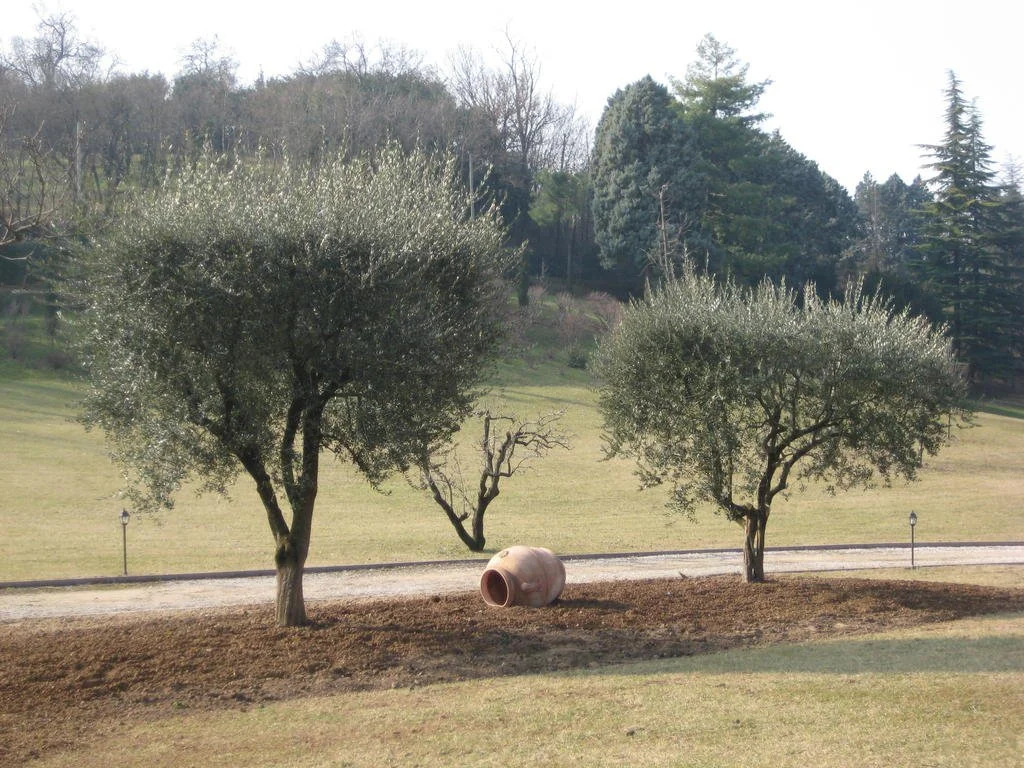 B&B Ca degli Ulivi