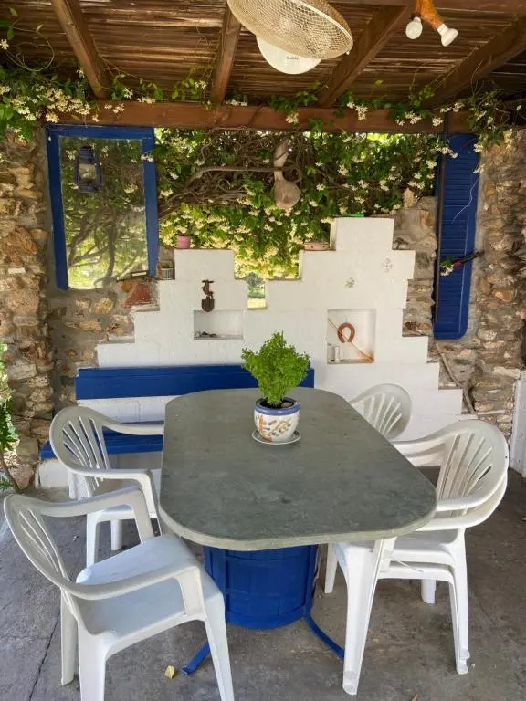 Wine & Olive Studio