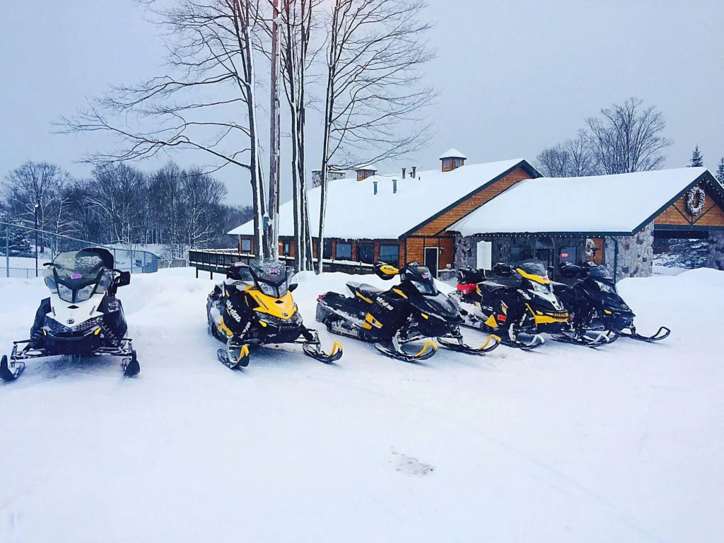 The Loon