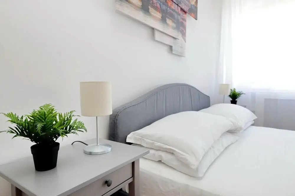 Zucchi Rooms