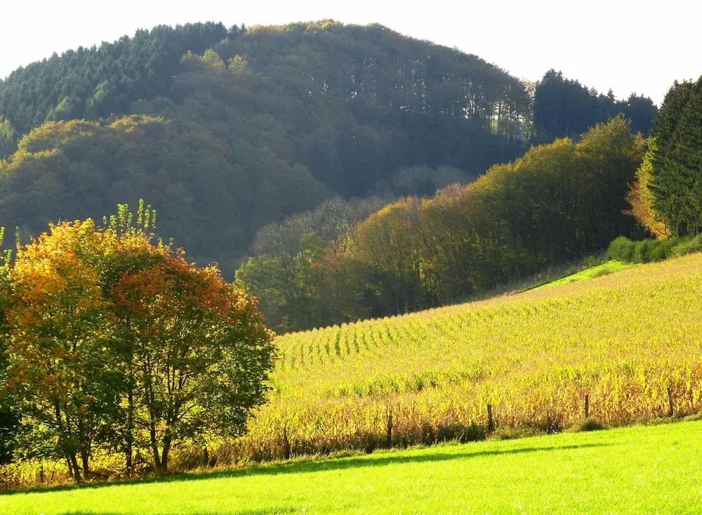 Graceful Holiday Home near Ski Area in Schmallenberg