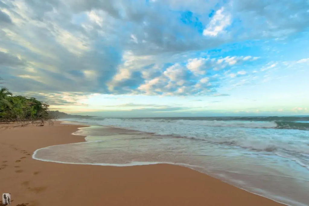 Bocas Condos Rentals