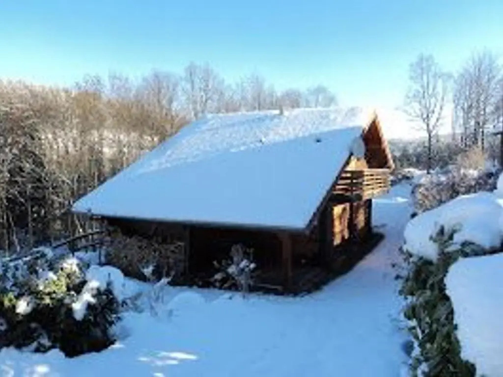 Chalet spacieux près de Gérardmer avec terrasse, verger et activités montagne - FR-1-589-121