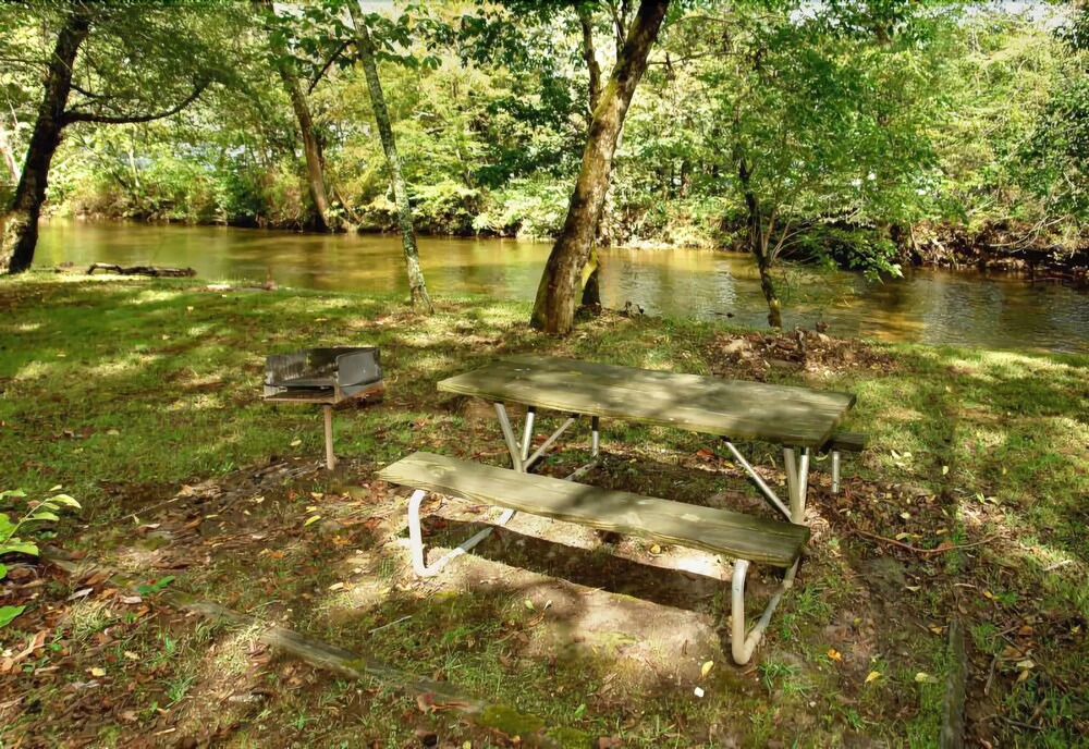 Hook Line and Sinker on Cosby Creek - 2 Br Cabin