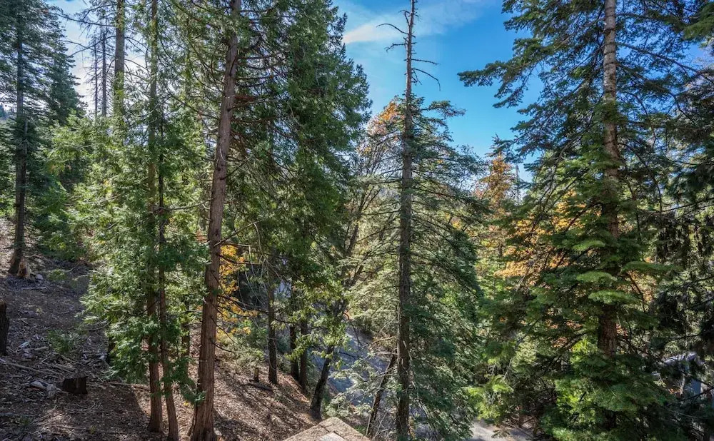 Timber Lodge Yosemite Enveloped In Nature!