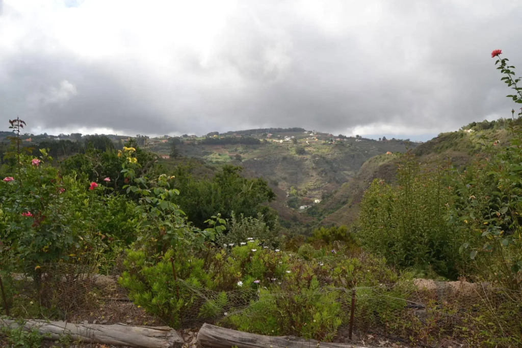Casa Rural Moya