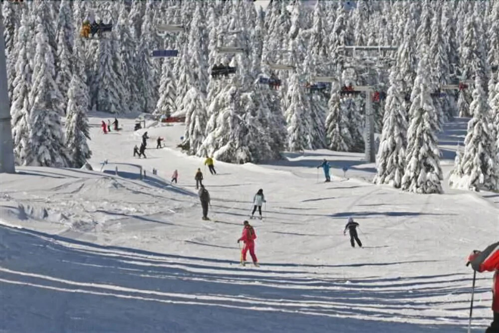 Hotel Grand Kopaonik