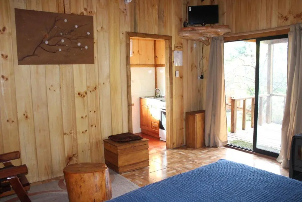 Apart hotel Puchaley Lafquen