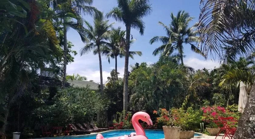 Cabarete Surf Camp
