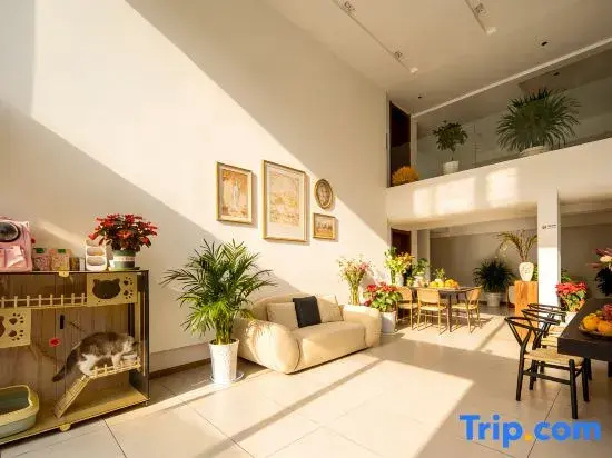 MOUNTAIN•DESIGNE Oxygen-rich Scenic Stay (Moonlight Square, Dukezong Ancient Town)