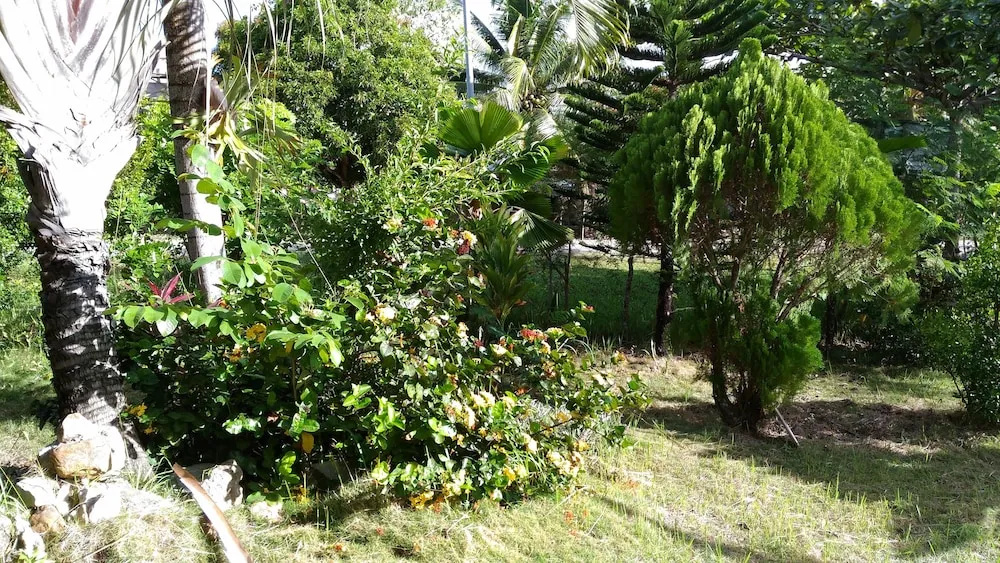 Jomajean Garden