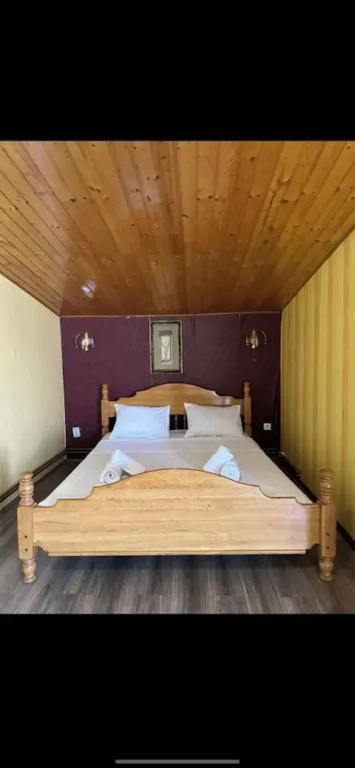 Odelia hostel