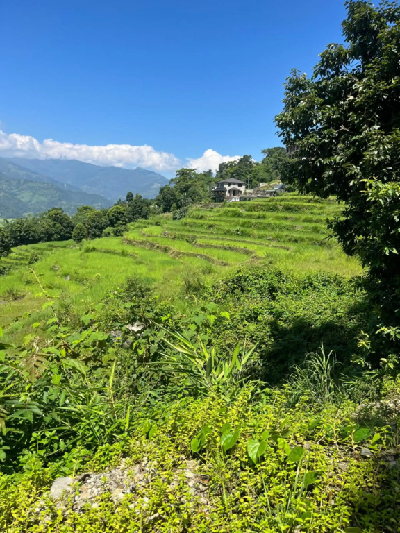 The North Face Inns Homestay