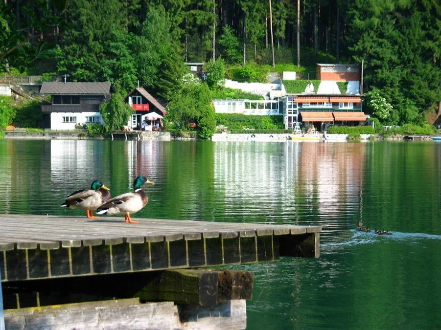 Villa Mayr
