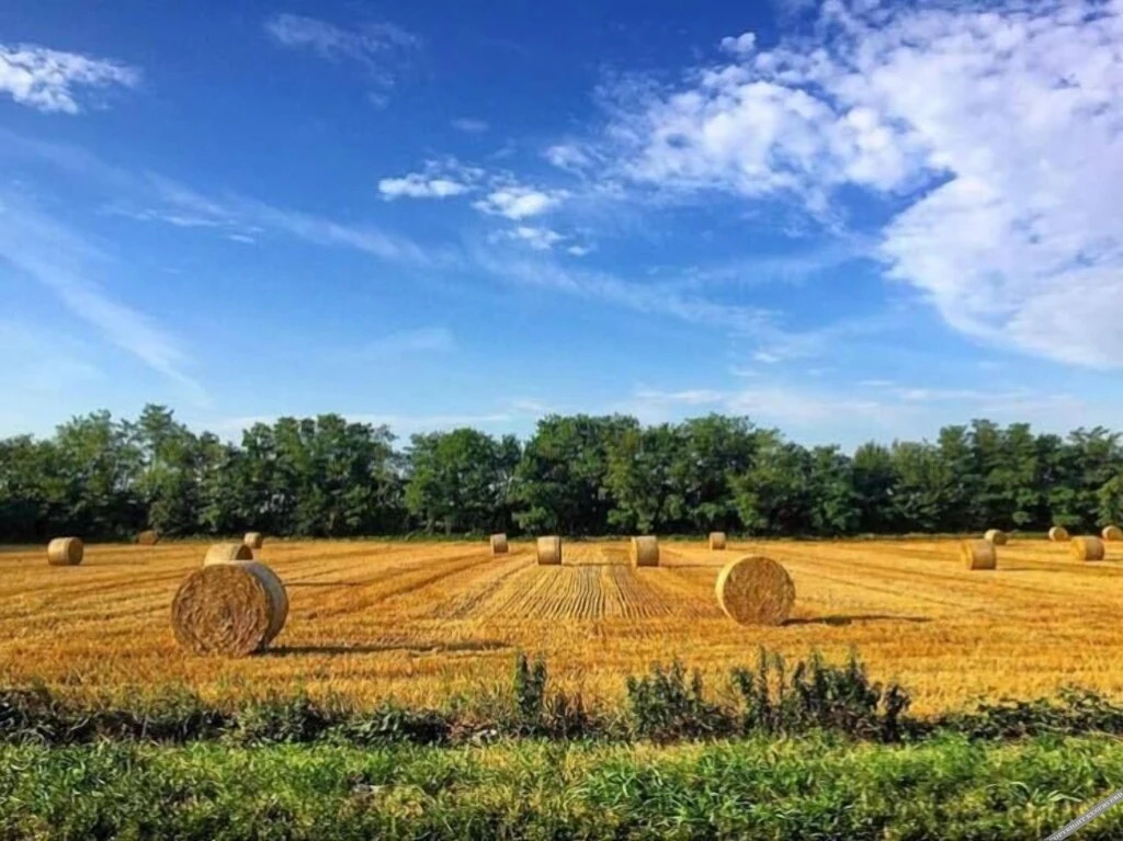 Agriturismo Cascina Magana