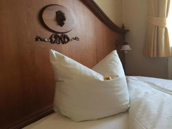 Hotel Goldner Loewe