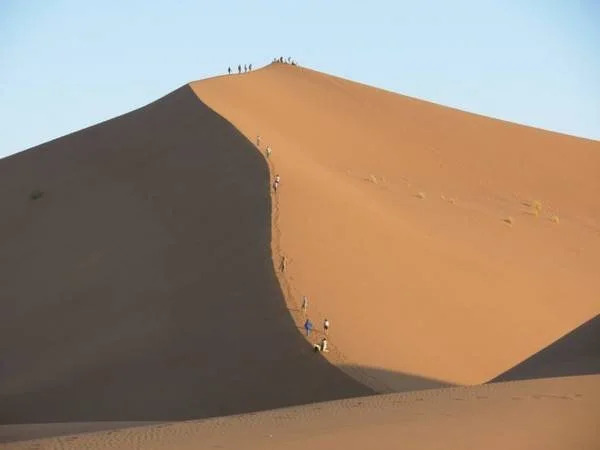 Camel Safari Camp