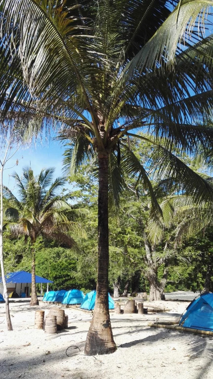 Tropical Eco Camping