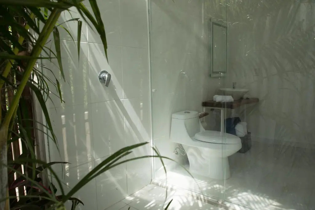 Zensus Eco Boutique Hotel