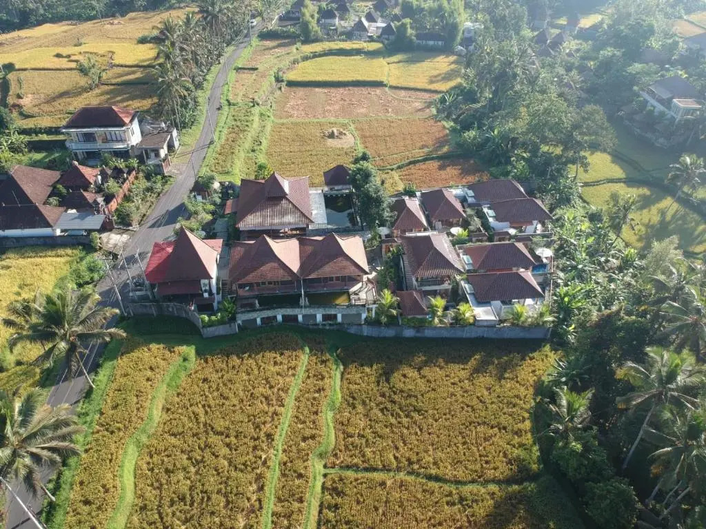 Danakha Villa Ubud