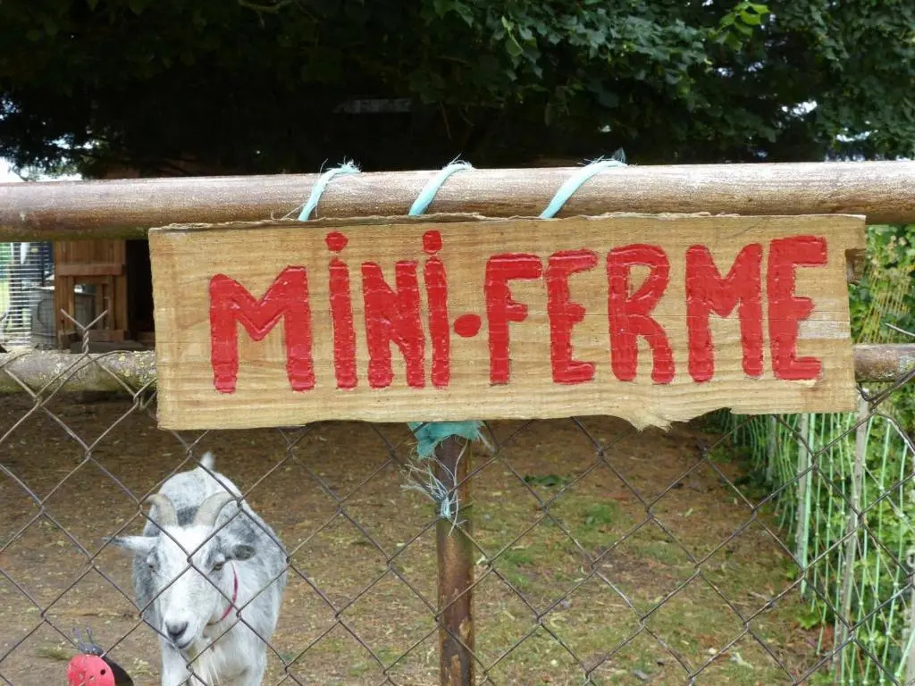 Gîte de la Mini Ferme, Animaux Bienvenus, Wifi, Jardin, 4-6 Pers - FR-1-489-121