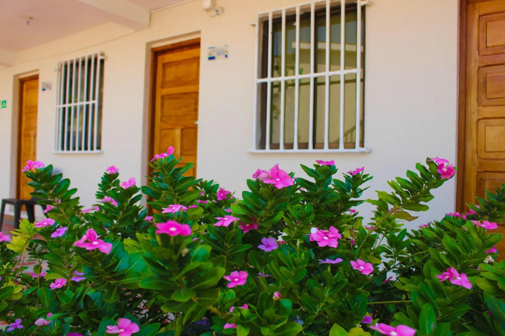 Hotel Dorado Plaza Punta Arena
