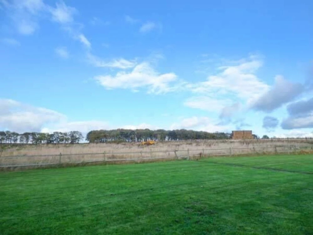 Meadow View