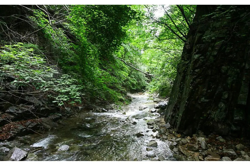 Laon Pension