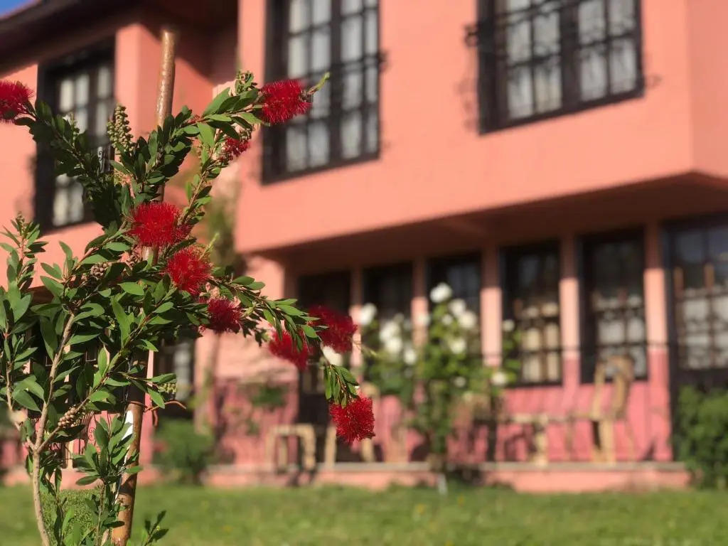 Hotel Palme Dalyan