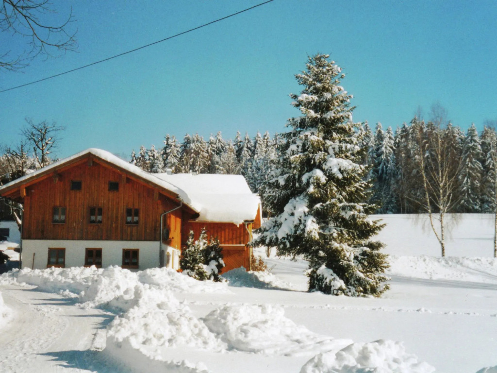 Schönes Ferienhaus in Viechtach in Waldnähe